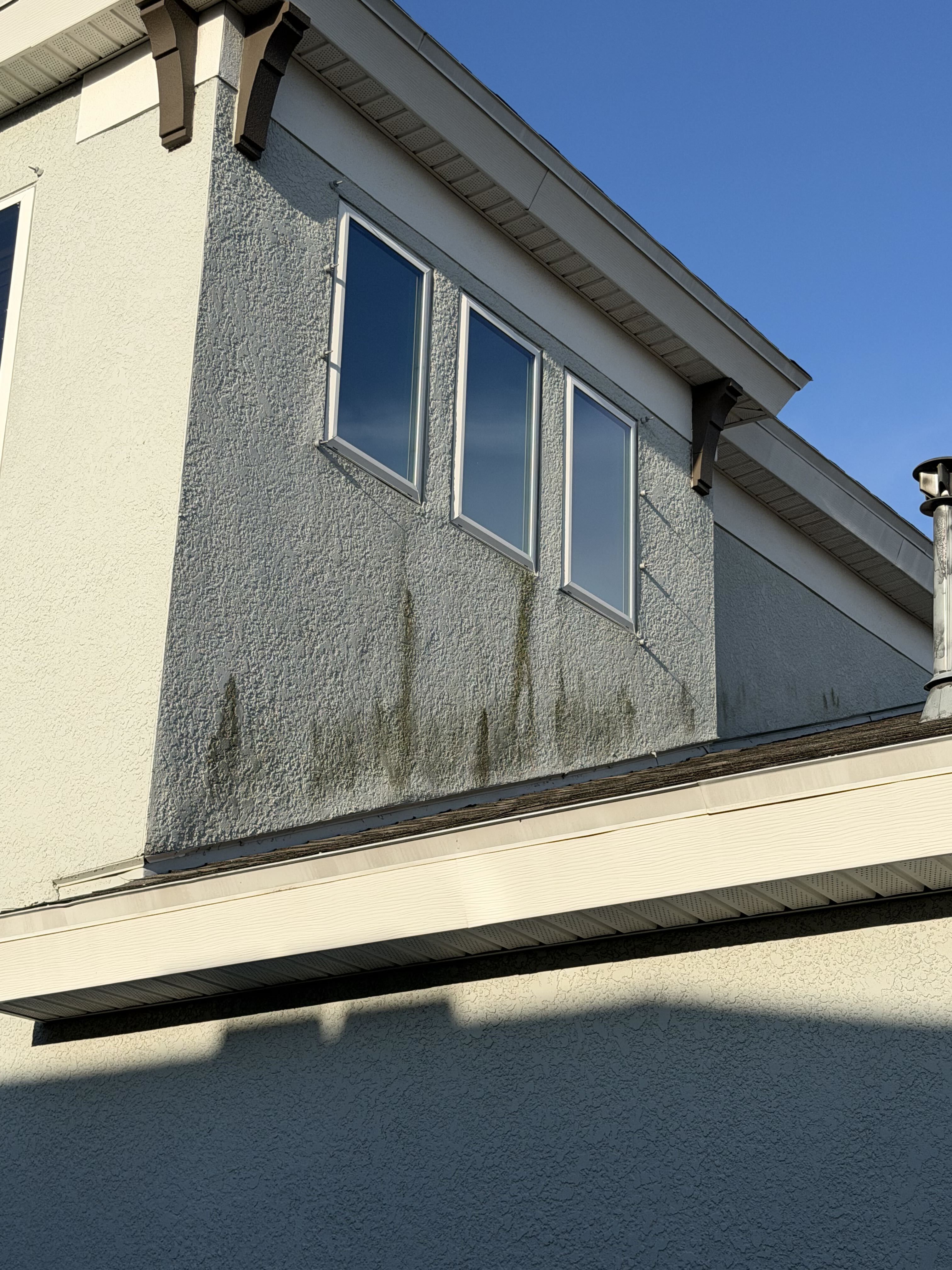 Exterior siding being inspected before cleaning